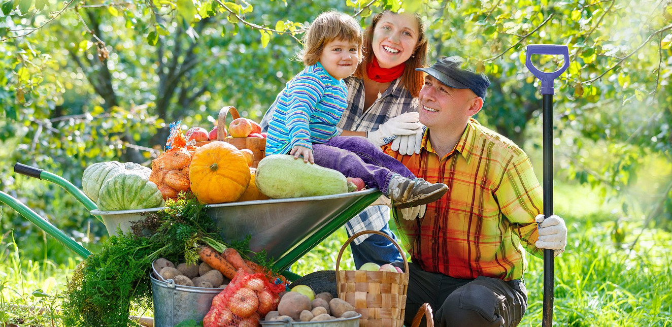 Światowy Dzień Owoców i Warzyw! – świętuj codziennie