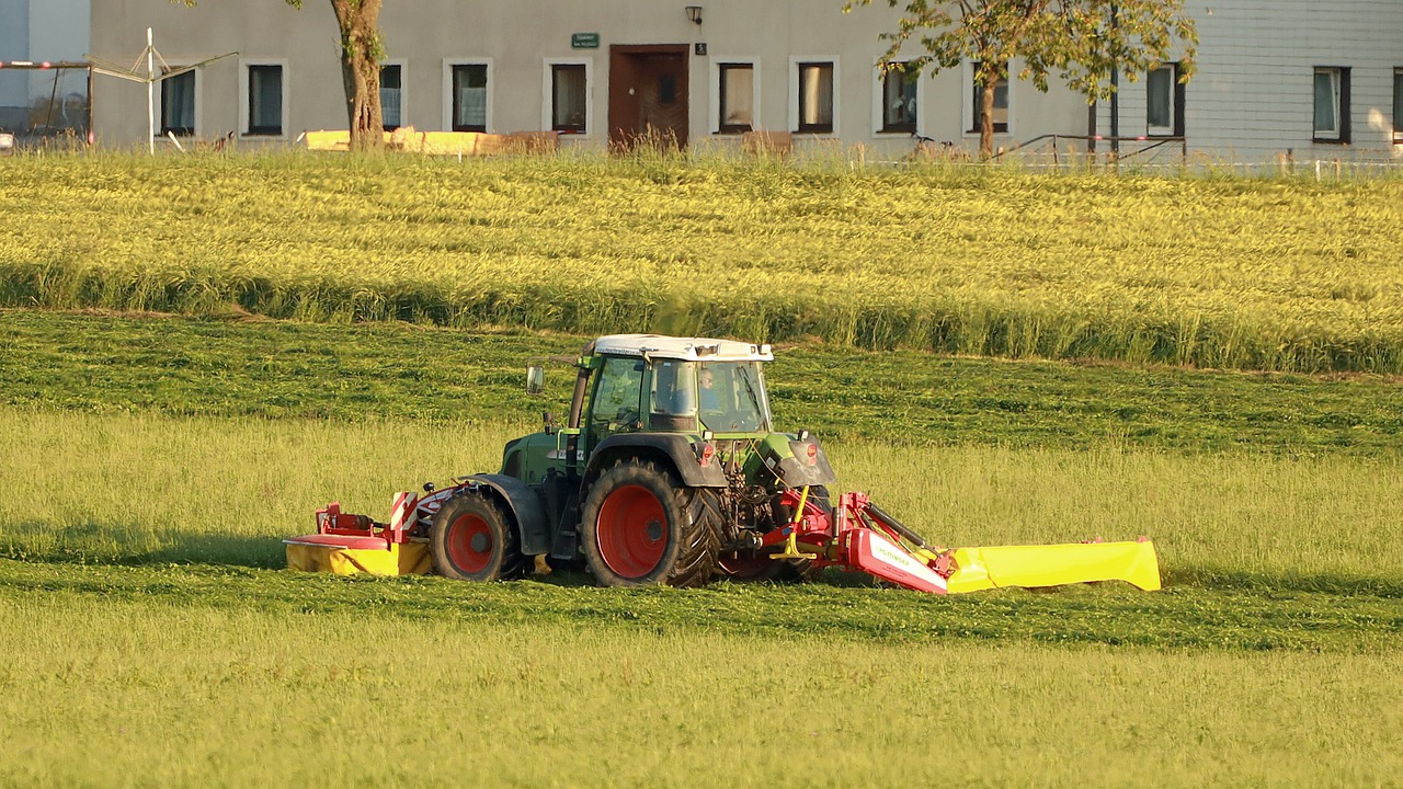 Wady i zalety koszenia trawników w miastach