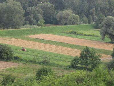 1 uprawy ekologiczne ewelina wiacek