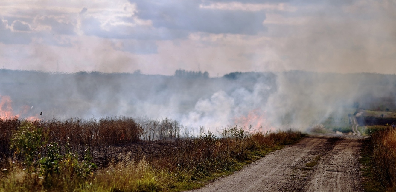 Wypalanie traw grozi utratą dopłat